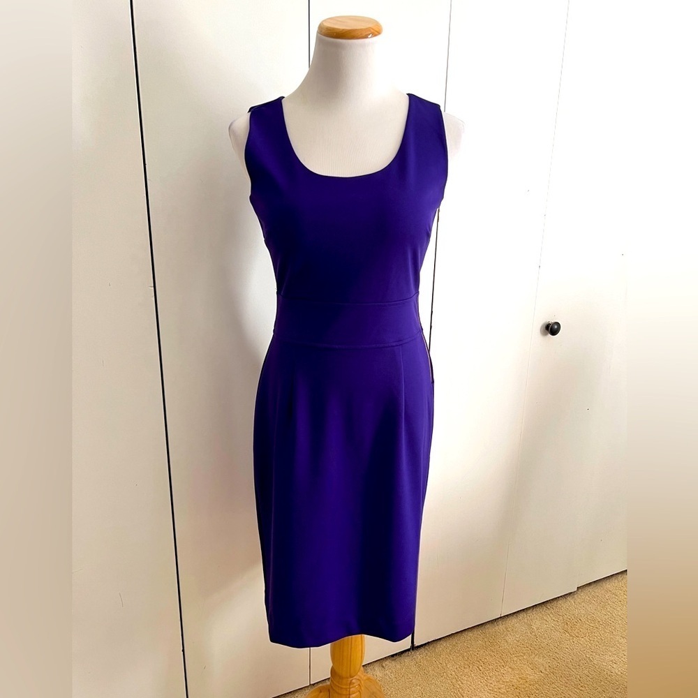 Banana Republic Royal Purple Dress